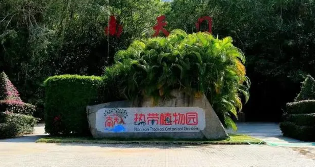 1711695184169007.png image.png