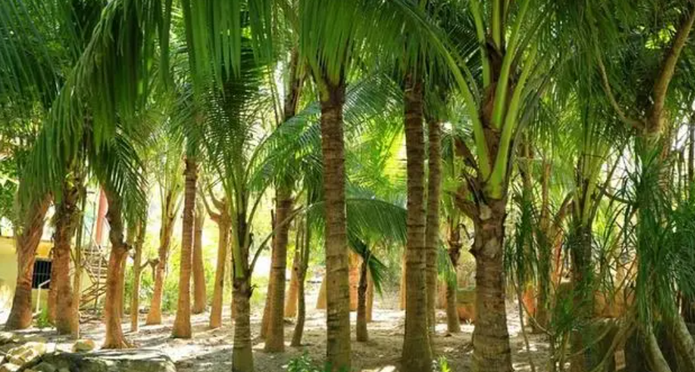 1711695194208269.png image.png