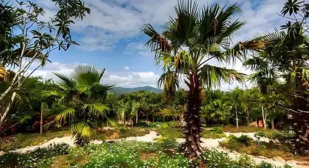 1711695205558071.png image.png