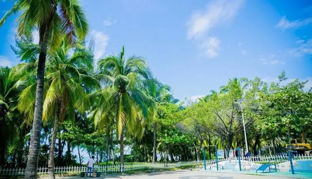 1711695214252427.png image.png