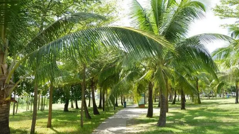 1711695227127384.png image.png